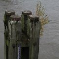 IMG_1195496
