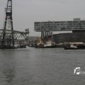 IMG_1195499