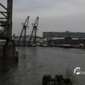 IMG_1195502