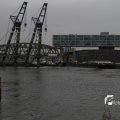 IMG_1195504