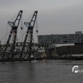 IMG_1195505