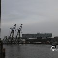 IMG_1195506