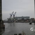 IMG_1195524