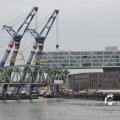 IMG_1195526