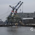 IMG_1195531