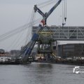 IMG_1195536