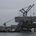 IMG_1195550