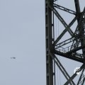 IMG_1195585