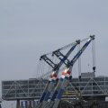 IMG_1195593