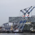 IMG_1195613