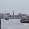 IMG_1195614