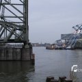 IMG_1195643
