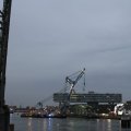 IMG_1195653