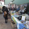 IMG_1196749