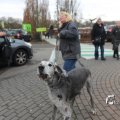 IMG_1198653