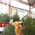 IMG_1198661