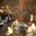 IMG_1198674