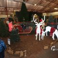 IMG_1198677
