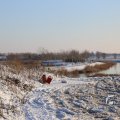 IMG_1199801