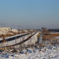 IMG_1199803