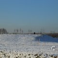 IMG_1199816