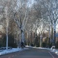 IMG_1199821