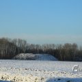 IMG_1199837
