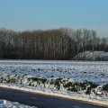 IMG_1199838