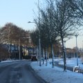 IMG_1199844