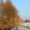 IMG_1199847