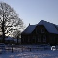 IMG_1199868