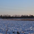IMG_1199926
