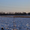 IMG_1199927