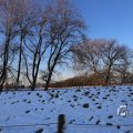IMG_1199940