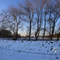 IMG_1199941