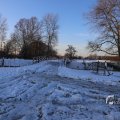 IMG_1199945