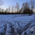 IMG_1199946