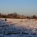 IMG_1199951