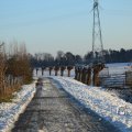 IMG_1199953