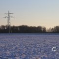 IMG_1199954