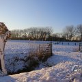 IMG_1199959