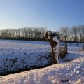 IMG_1199960