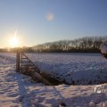 IMG_1199963