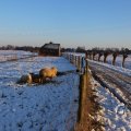 IMG_1199967