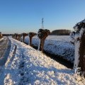 IMG_1199971