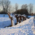 IMG_1199972