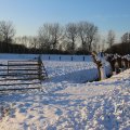 IMG_1199973