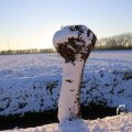 IMG_1199974