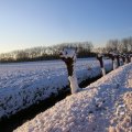 IMG_1199984
