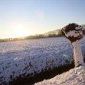 IMG_1199985